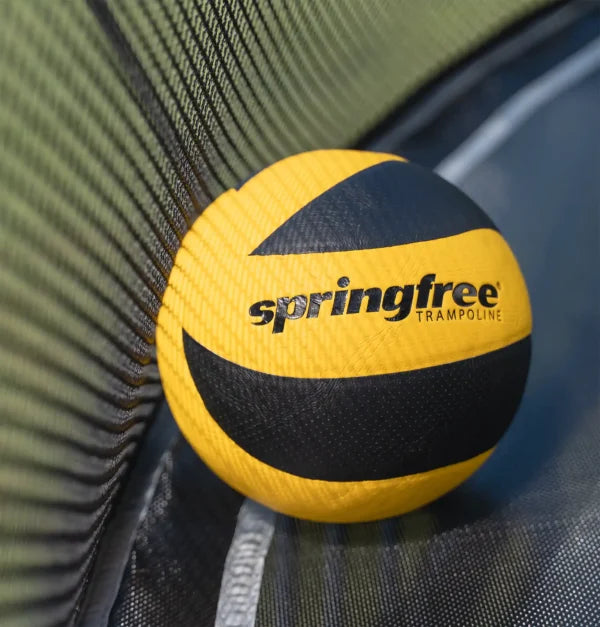 FlexrHoop Basketball Hoop
